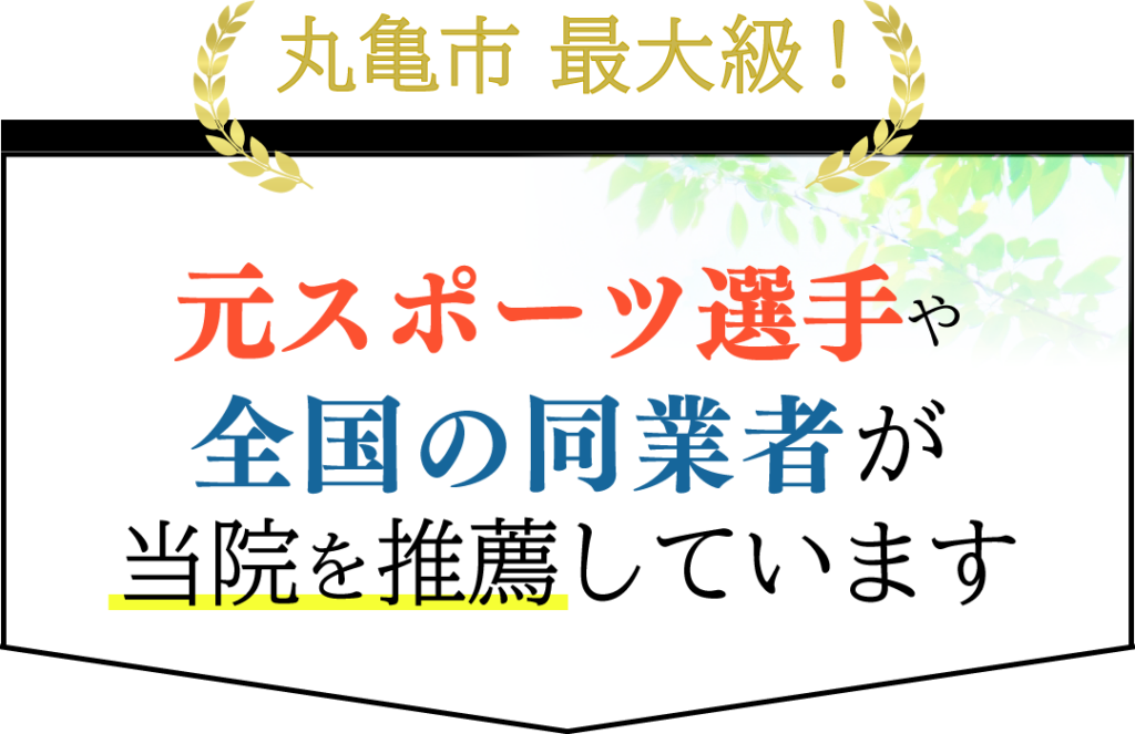 元スポーツ選手や全国の同業者が当院の施術を絶賛しています